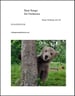 Bear Songs